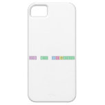 Its My Birthday  iPhone 5 Cases