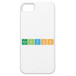 AMBITION  iPhone 5 Cases