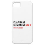 Clapham Commom  iPhone 5 Cases