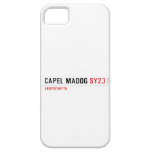 Capel Madog  iPhone 5 Cases