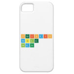 Periodic
 Table
 Games  iPhone 5 Cases
