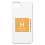 H  iPhone 5 Cases