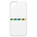 Elements
   iPhone 5 Cases