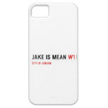 Jake is mean  iPhone 5 Cases