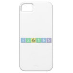 Investigate  iPhone 5 Cases
