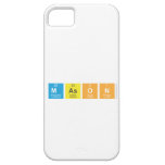 Mason  iPhone 5 Cases