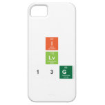 I
 Lv
 13g  iPhone 5 Cases
