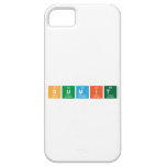 SUMIT  iPhone 5 Cases