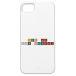 ITS MY 17th BIRTHDAY  iPhone 5 Cases