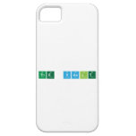 The Vault  iPhone 5 Cases
