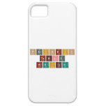 Periodic
 Table
 Writer  iPhone 5 Cases