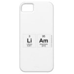 liam  iPhone 5 Cases