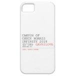 Canyon of chuck norris INFinity 2018 (D'oh)  iPhone 5 Cases