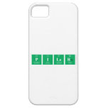 Pilar  iPhone 5 Cases