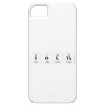 South  iPhone 5 Cases