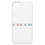 I Like B irds   iPhone 5 Cases