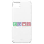 mason  iPhone 5 Cases