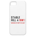 stable hill 4  iPhone 5 Cases