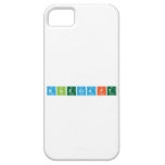 Minecraft  iPhone 5 Cases