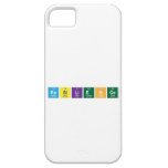 Resilience  iPhone 5 Cases