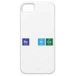 Be Nice  iPhone 5 Cases