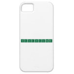 Suntoucher  iPhone 5 Cases