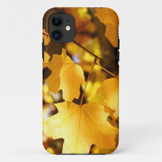 iPhone 5 cases Yellow Fall Tree Leaves Autumn