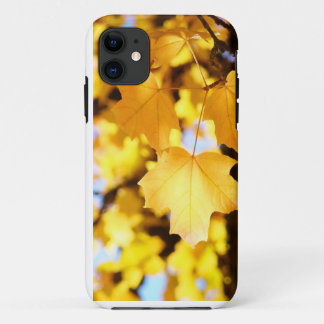 iPhone 5 Cases Yellow Glowing Autumn Leaves