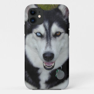 IPhone 5 Cover Siberian Husky