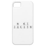 Be My Valentine  iPhone 5 Hoesjes