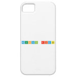 Mountain Ridge  iPhone 5 Hoesjes