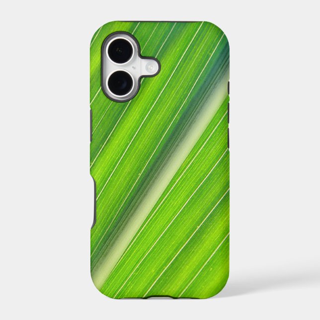iPhone 5 Hülle hellgrünes Maisblattdesign Case (Back)