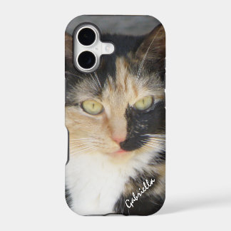 iPhone 5: Personalized Calico Kitty Case