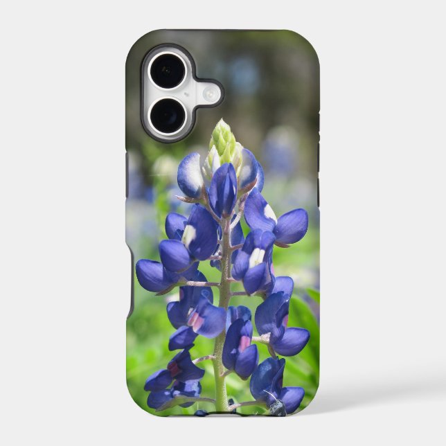 iphone 5s Case Bluebonnet (Back)