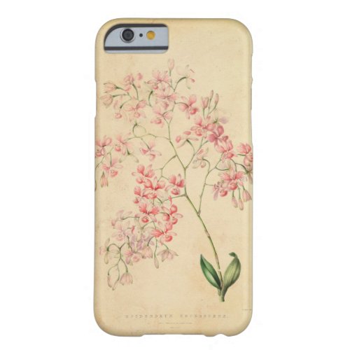 iPhone 6 case _ vintage orchid illustration