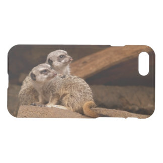 iPhone 7 Clearly Deflector Case Meerkat or Mongoos