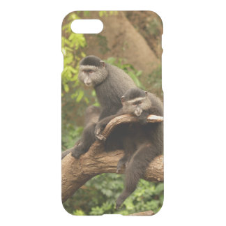 iPhone 7 Clearly Deflector Case Monkey