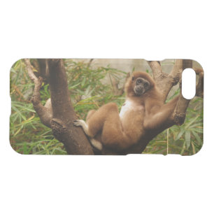 iPhone 7 Clearly Deflector Case Monkey