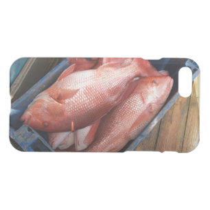 iPhone 7 Clearly Deflector Case Red Snapper
