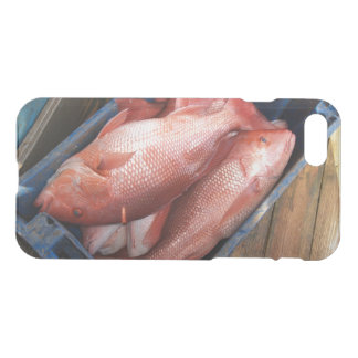 iPhone 7 Clearly Deflector Case Red Snapper
