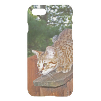 iPhone 7 Clearly Deflector Case Savannah Kitten