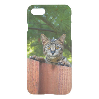 iPhone 7 Clearly Deflector Case Savannah Kitten