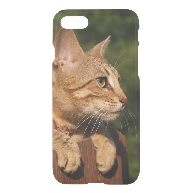iPhone 7 Clearly Deflector Case Savannah Kitten (Back)