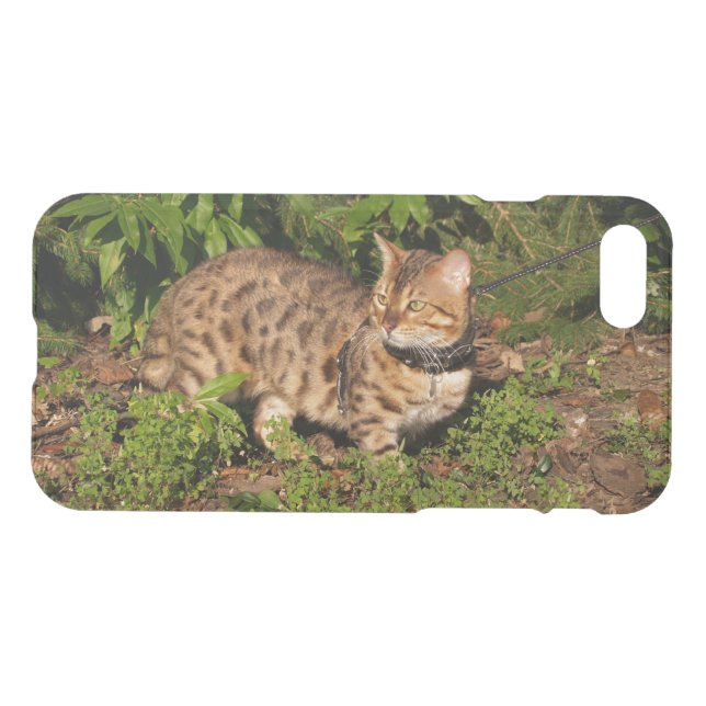 iPhone 7 Clearly Deflector Case Savannah Kitten (Back Horizontal)