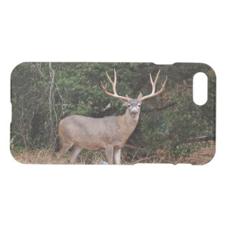 iPhone 7 Clearly Deflector Case Wild Buck Deer