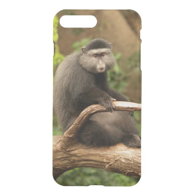 iPhone 7 Clearly Plus Deflector Case Monkey (Back)