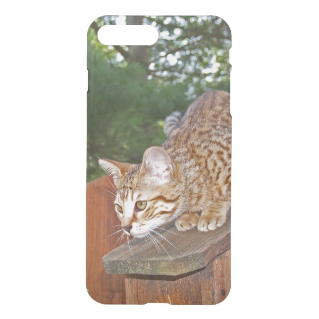 iPhone 7 Clearly Plus Deflector Case Savannah Cat (Back)