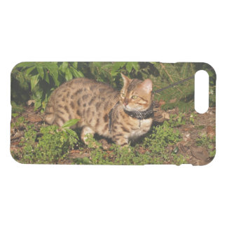 iPhone 7 Clearly Plus Deflector Case Savannah Cat