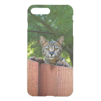 iPhone 7 Clearly Plus Deflector Case Savannah Cat