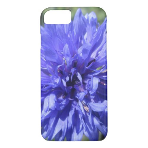 iPhone 87 Case _ Cornflower Blue Bachelors Btn